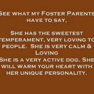 Meet your Posher, Rachna